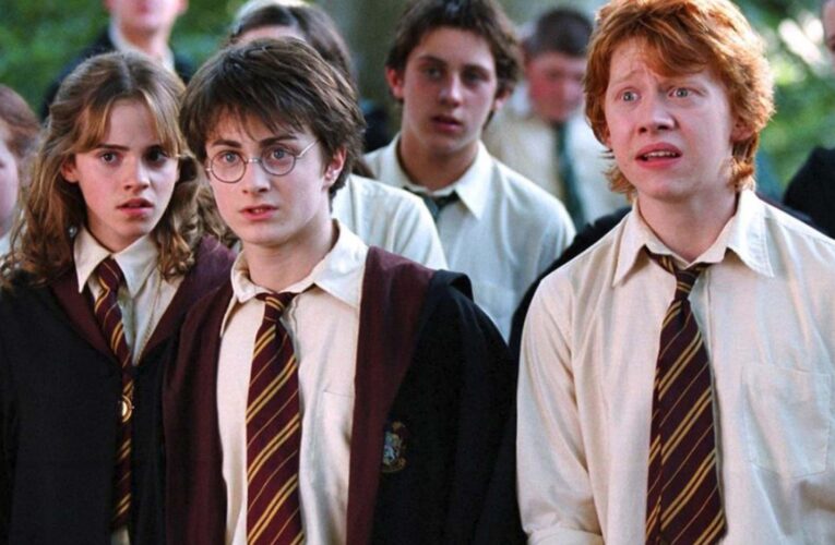 Un carnaval de Harry Potter llega a Warner Channel