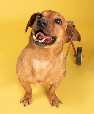 unnamed 2022 07 14T151401.707