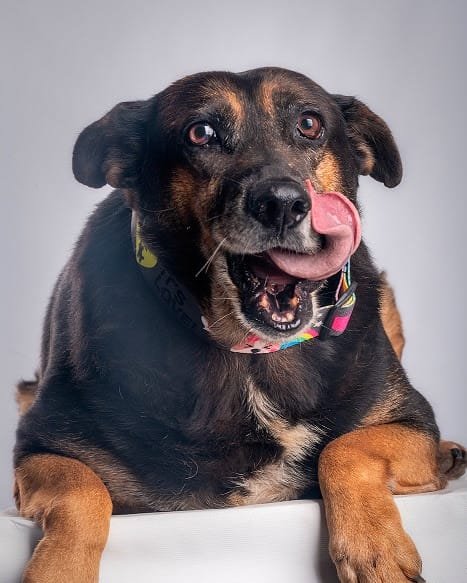 unnamed 2022 07 14T151402.626