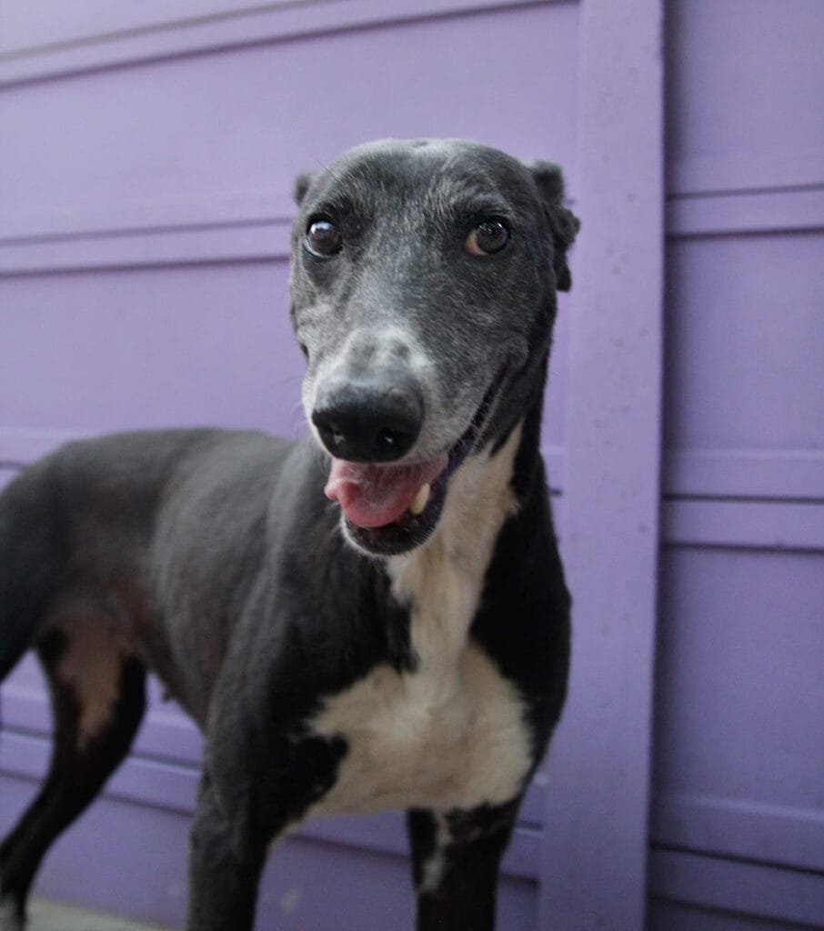 unnamed 2022 07 14T151404.438