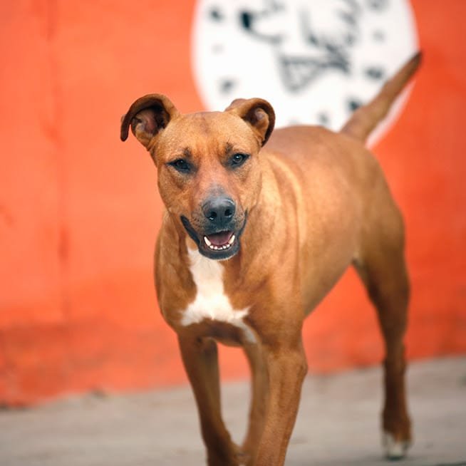 unnamed 2022 07 14T151405.395