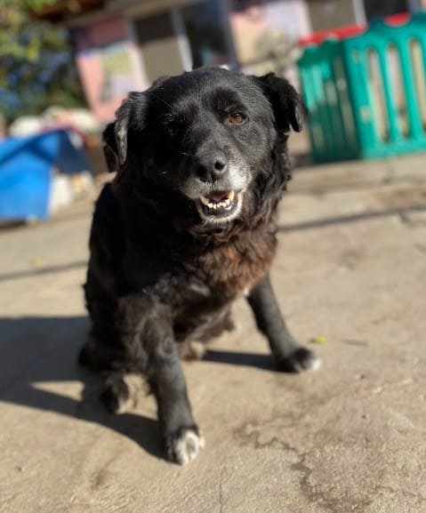 unnamed 2022 07 14T151406.673