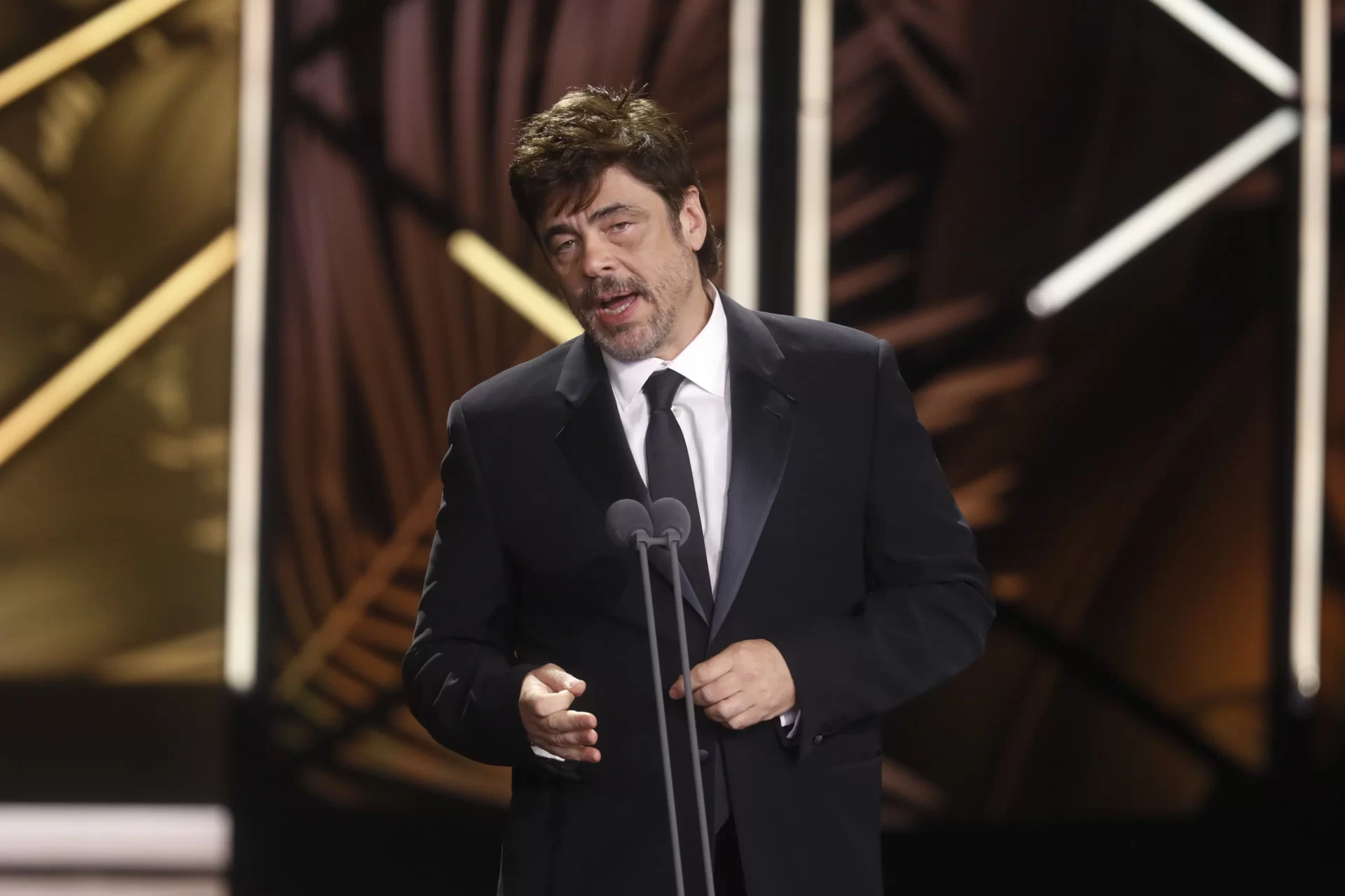 Benicio Del Toro Premio de Honor 005