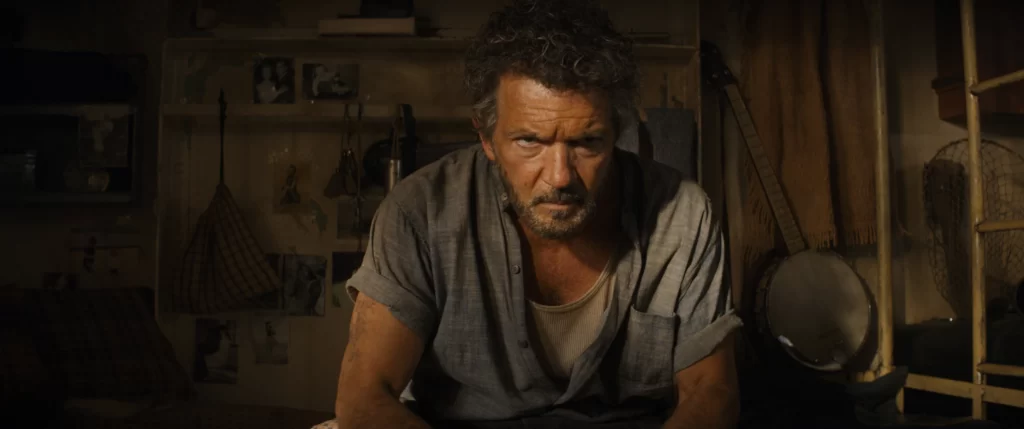 plt dtlr1 uhd r709f stills 221123.087718