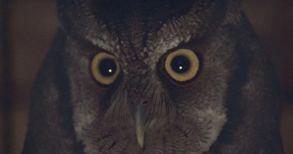 unnamed 2023 09 12T212955.931