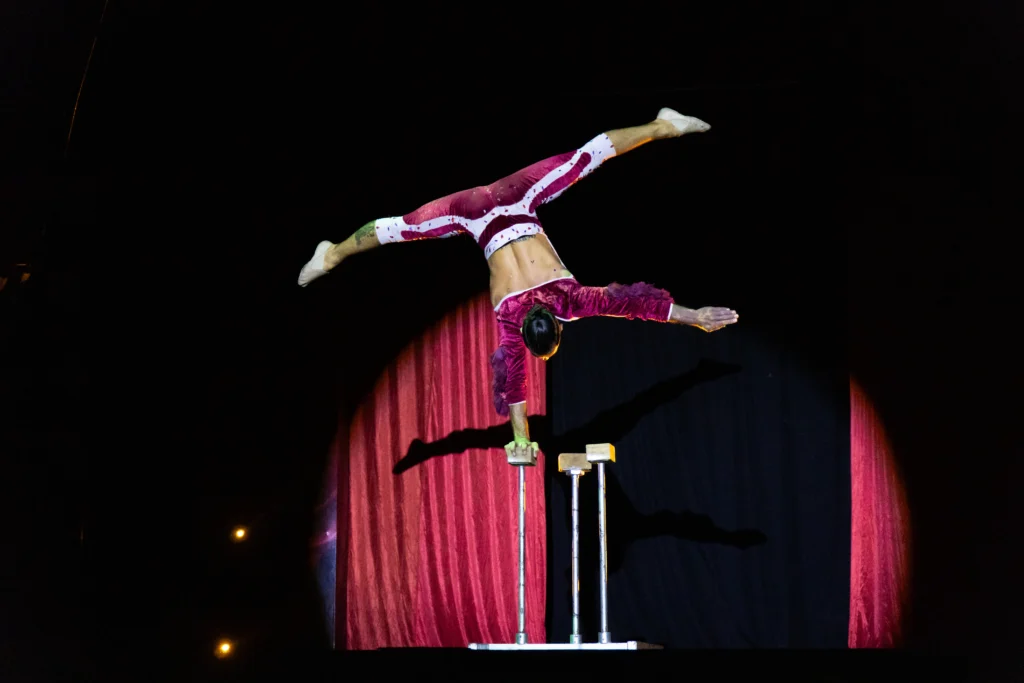 Cirque Amore ph Luis Frontini 1